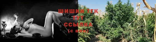 бошки Сясьстрой