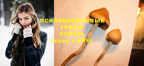 прущая мука Тайга