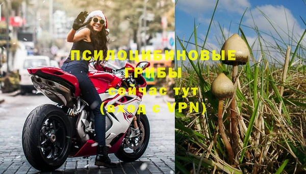 прущие крисы Тавда