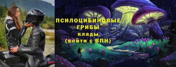прущие крисы Тавда