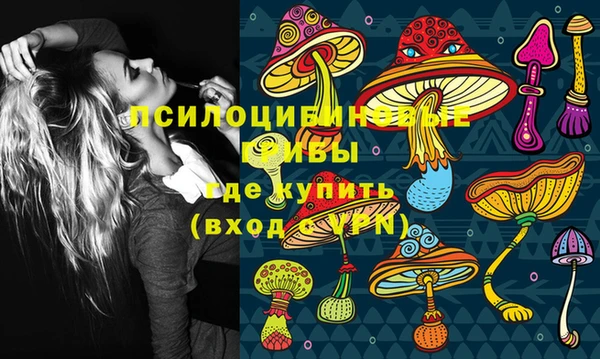 прущие крисы Тавда
