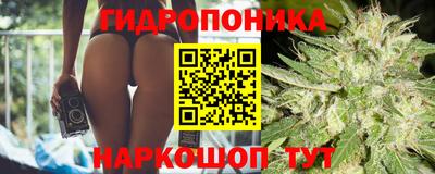 индика Аргун