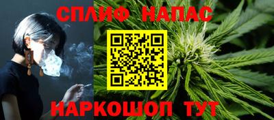 индика Аргун
