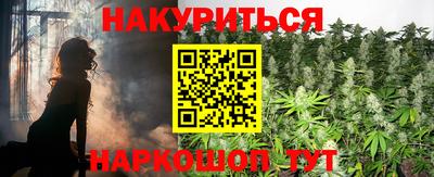индика Аргун